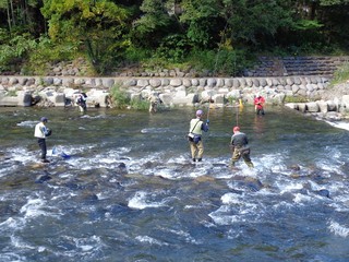 DSC00081-2.jpg