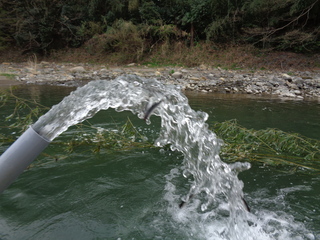 DSC00148.JPG