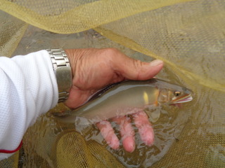 DSC00422.JPG