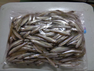 DSC00545.JPG