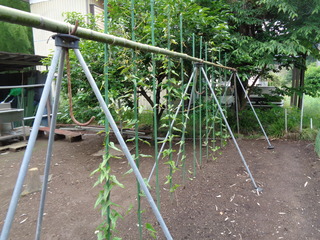DSC00713.JPG