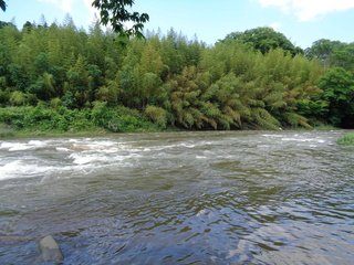 DSC00724.JPG