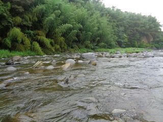 DSC00884.JPG
