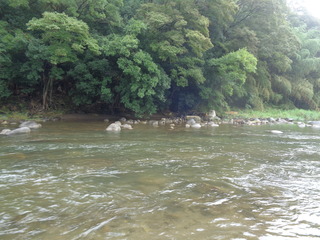 DSC00886.JPG