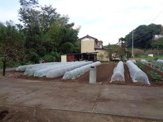 DSC00934.JPG