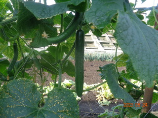 DSC01181.JPG