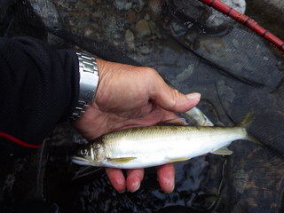 釣果1