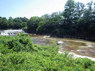 IMGP0602.JPG