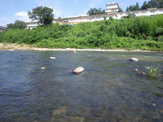 IMGP0633.JPG