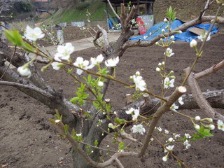 IMGP0857.JPG
