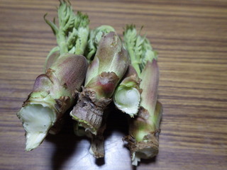 IMGP0876.JPG