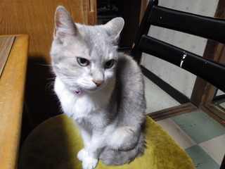 IMGP0877.JPG