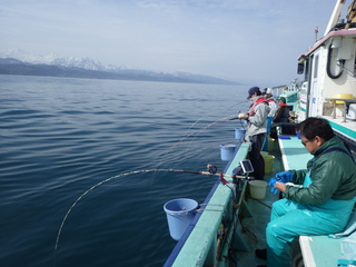 IMGP0921.JPG