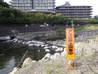 IMGP0967.JPG