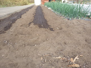 IMGP1434.JPG