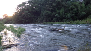 IMGP1704.JPG