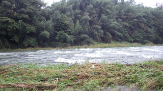 IMGP1732.JPG