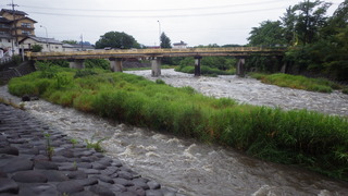 IMGP1985.JPG