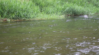 IMGP2069.JPG