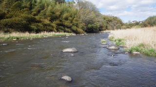 IMGP2425.JPG