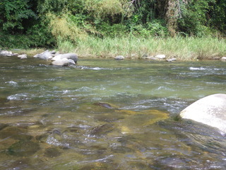 IMGP2543.JPG