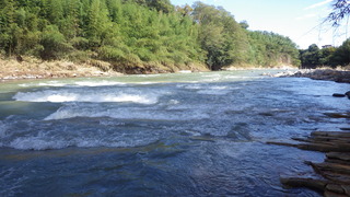 IMGP2623.JPG