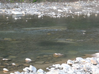 P1000100.JPG