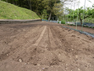 P1000120.JPG