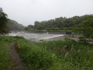 P1000142.JPG