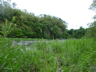 P1020709.JPG